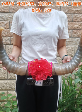 天然牦牛对角摆件客厅家居饰品办C公室桌商务高档开业礼品牛气冲