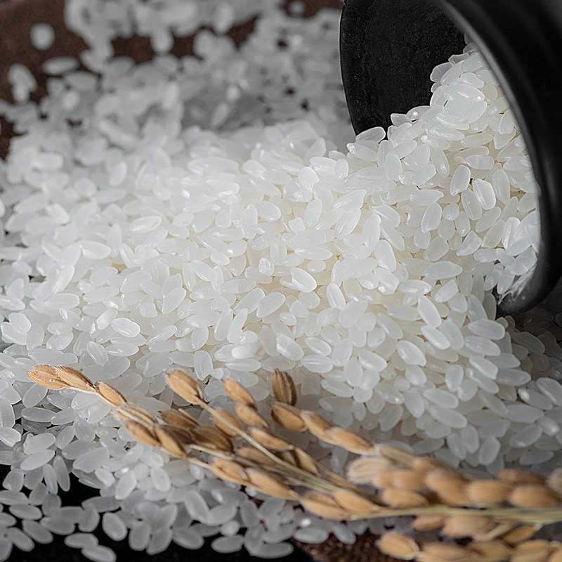 预售象稻经典大米东北长粒香米2.5kg 香甜有嚼劲