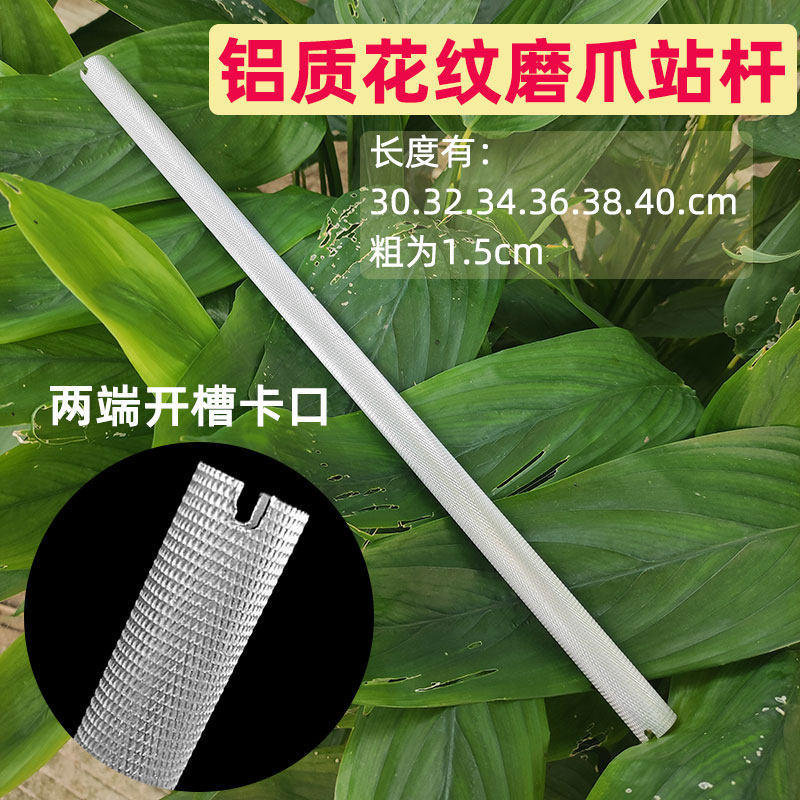 鸟用木站杆磨爪站杆木棒鸟笼配件鸟用品鹦鹉站架栖杆木棍,淘宝优惠券,粉丝福利购,淘宝优惠卷