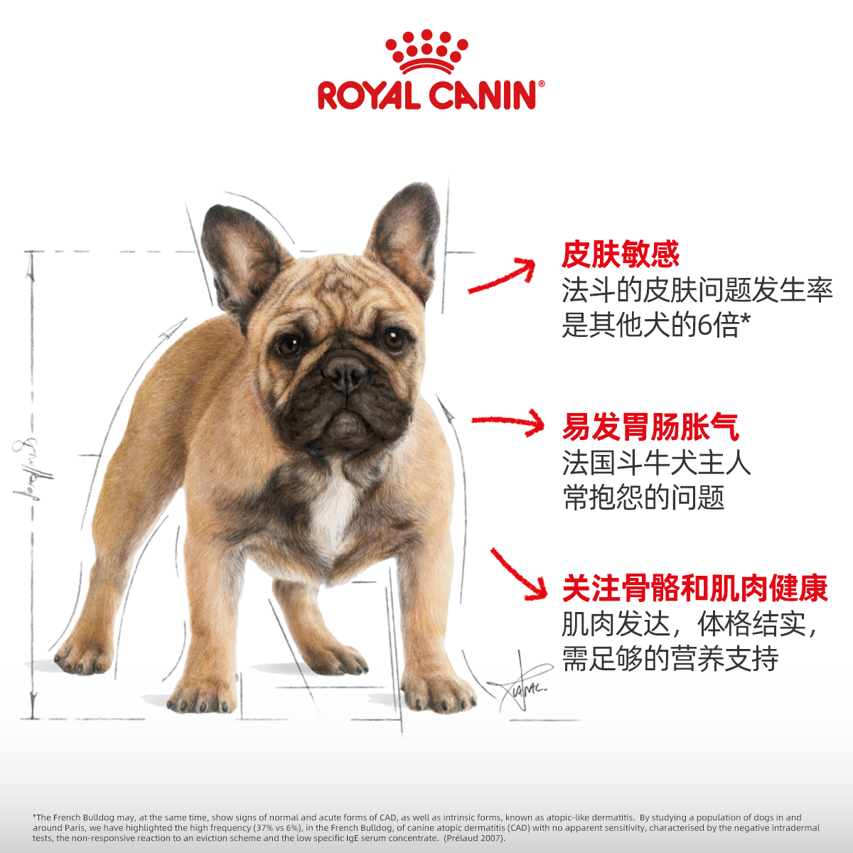 皇家狗粮法斗专用粮FBA26/3/6KG12斤成犬幼犬狗狗法国斗牛犬犬粮