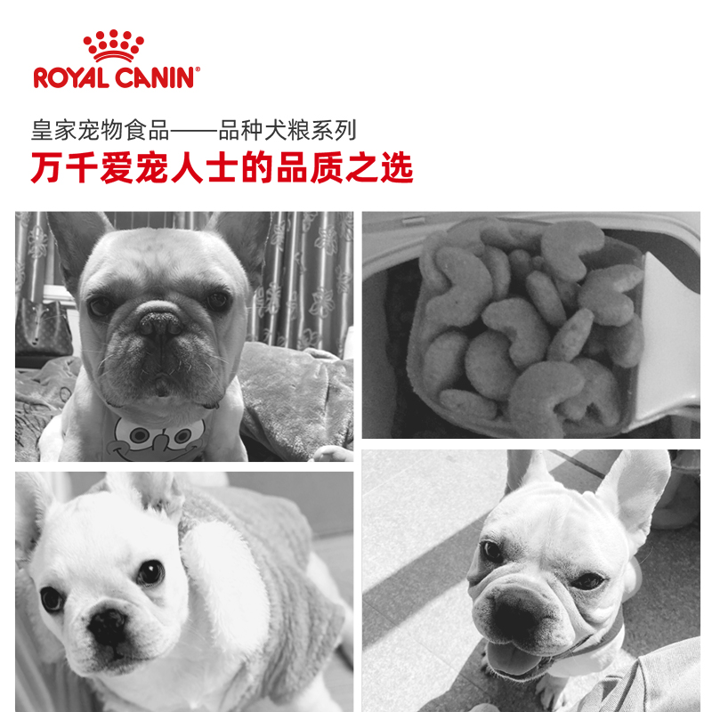 皇家狗粮法国斗牛犬幼犬粮FBJ30/3/6KG中型犬法斗专用狗粮干粮