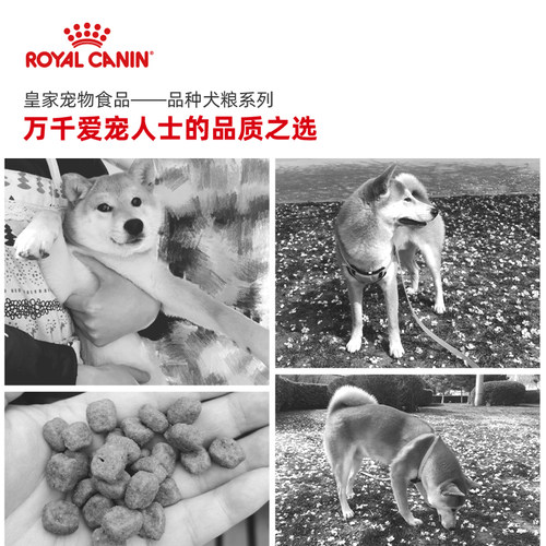 皇家日本柴犬专用狗粮SIJ29幼犬中小型成犬狗犬粮3/6.5KG - 图3