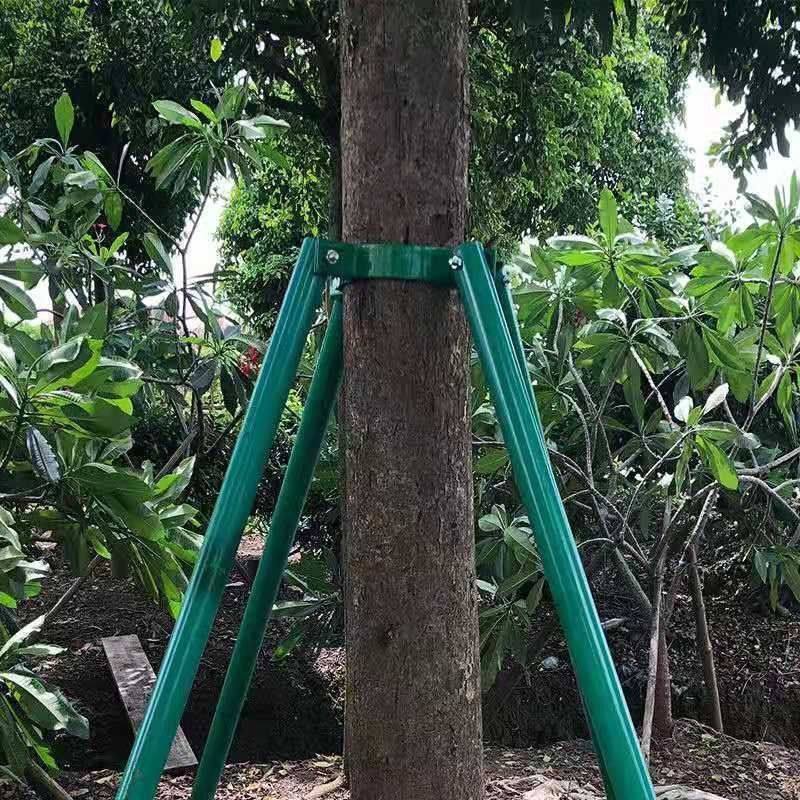 镀锌钢管园林防风固定器树木支撑杆小树支撑固定器柠檬树三角支架,淘宝优惠券,粉丝福利购,淘宝优惠卷