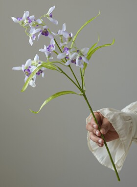 紫色小翠兰仿真花客厅电视柜摆件