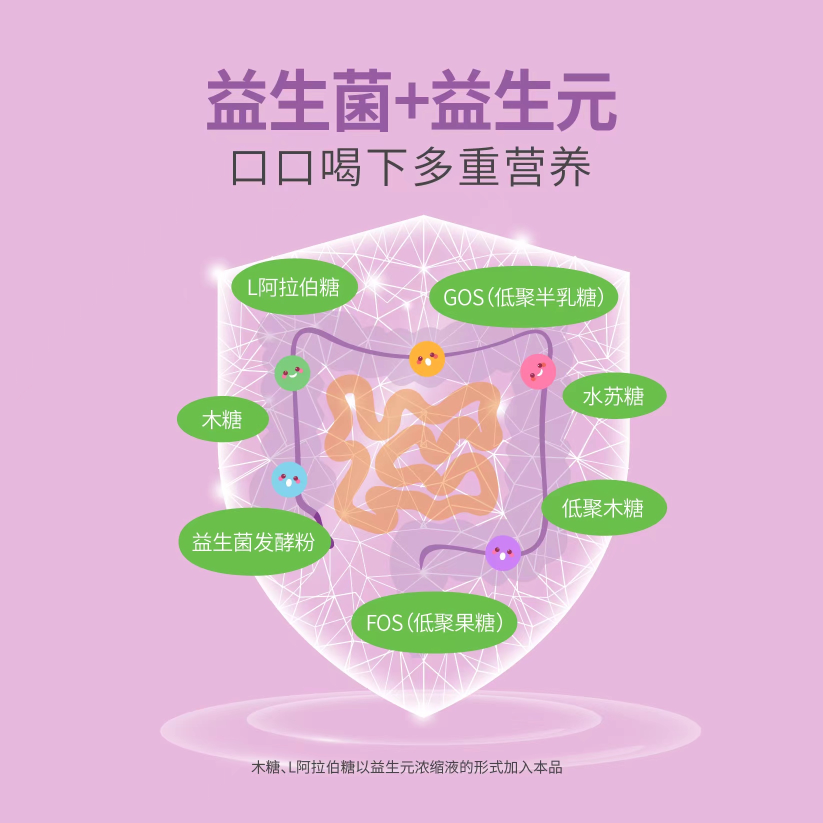 江中西梅汁益生菌益生元500ml高膳西梅饮膳食纤维果饮0脂肪