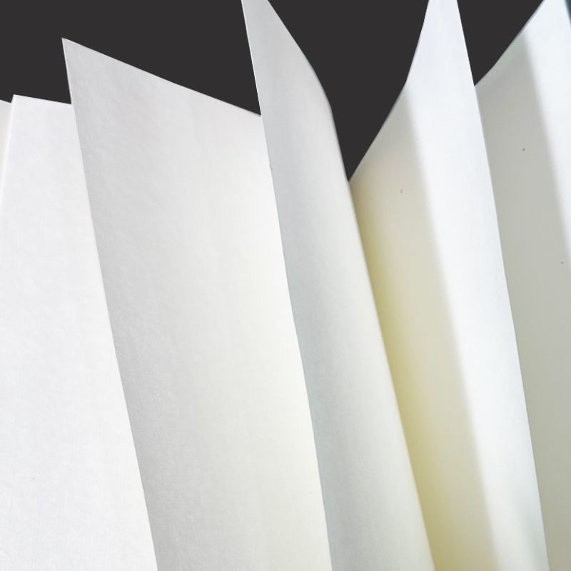 荣宝斋加厚特种净皮国展投稿参赛创作专用宣纸四尺六尺生宣半生熟毛笔字书法国画作品书画纸陈年老纸礼品宣纸,淘宝优惠券,粉丝福利购,淘宝优惠卷