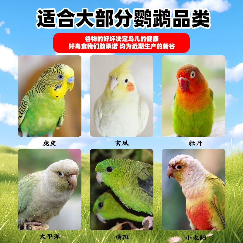 鹦鹉鸟粮饲料虎皮牡丹玄凤小太阳鹦鹉粮食专用谷子混合粮小鸟食物,淘宝优惠券,粉丝福利购,淘宝优惠卷