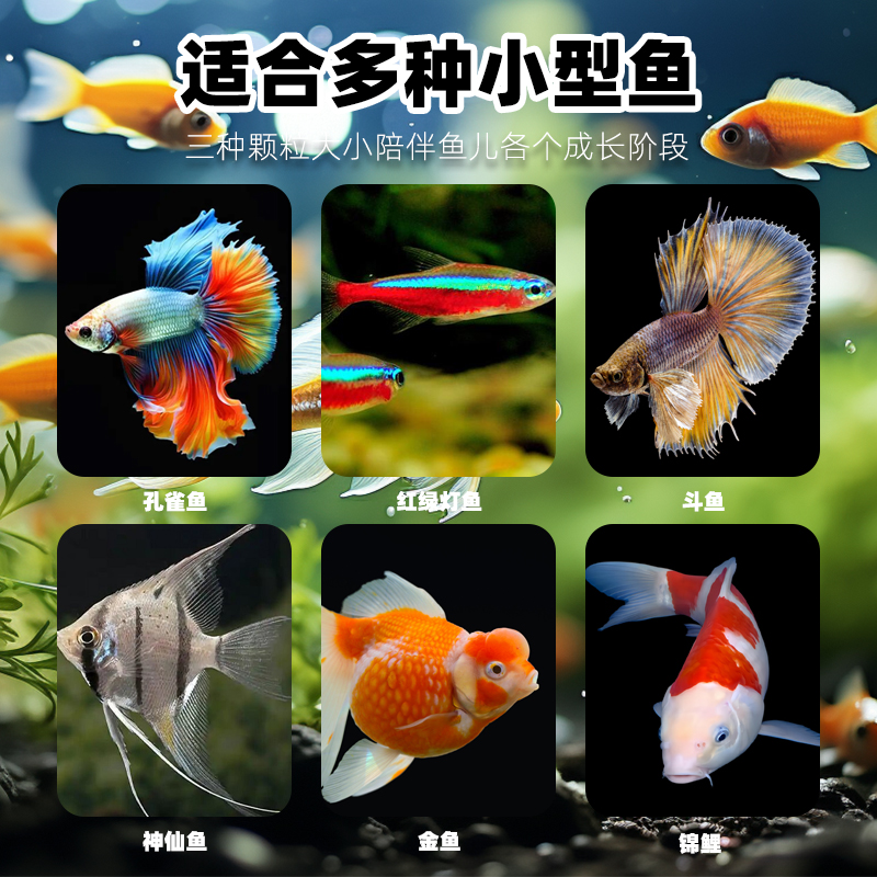 商品详情图片