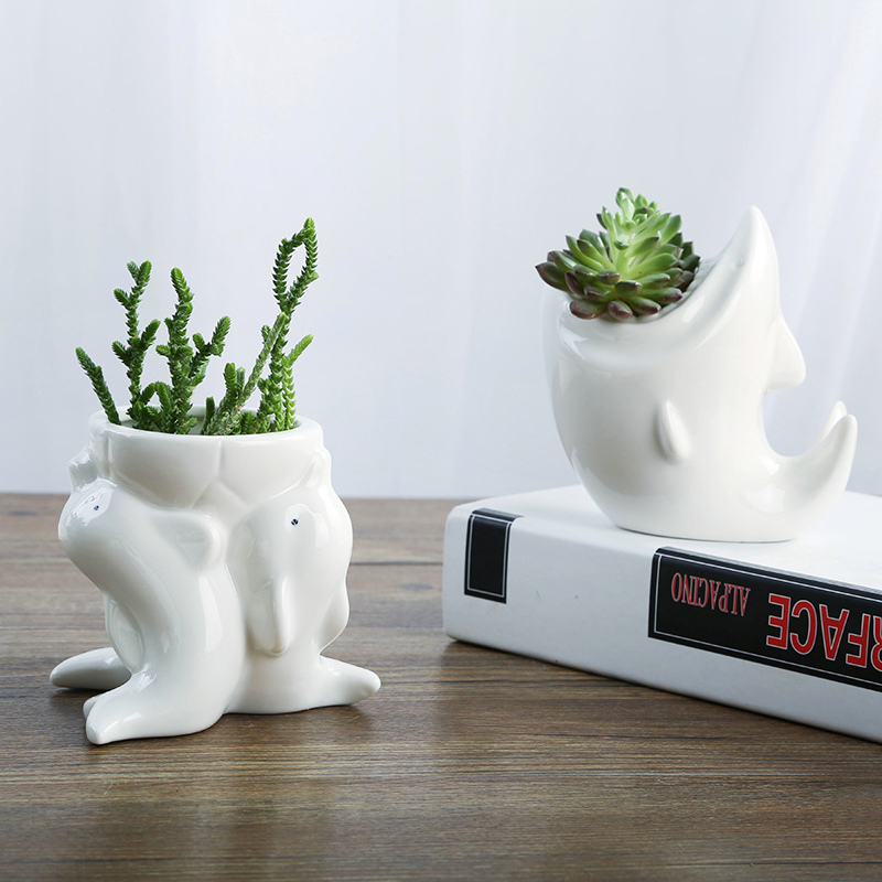 卡通可爱多肉花盆小号植物白色陶瓷创意个性简约包邮小拇指盆迷你,淘宝优惠券,粉丝福利购,淘宝优惠卷