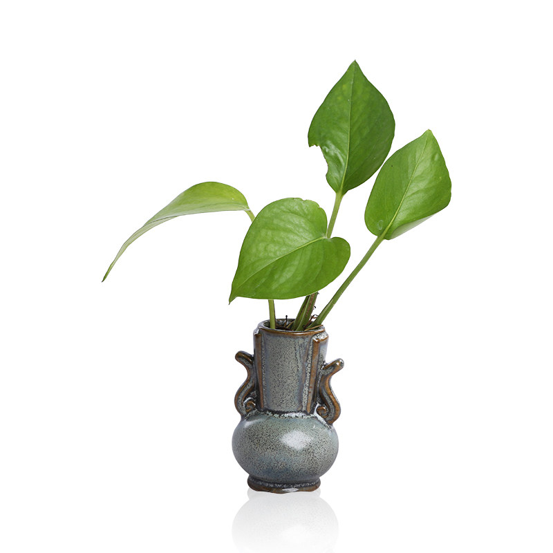 清新个性家居装饰品水培小花瓶容器摆件客厅桌面插花植物陶瓷瓶 源老舍旗舰店 淘优券