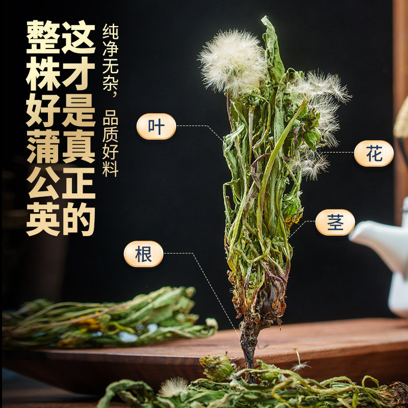 野生整颗蒲公英中药材新鲜干货婆婆丁浦公英整株带跟根泡茶泡水喝,淘宝优惠券,粉丝福利购,淘宝优惠卷
