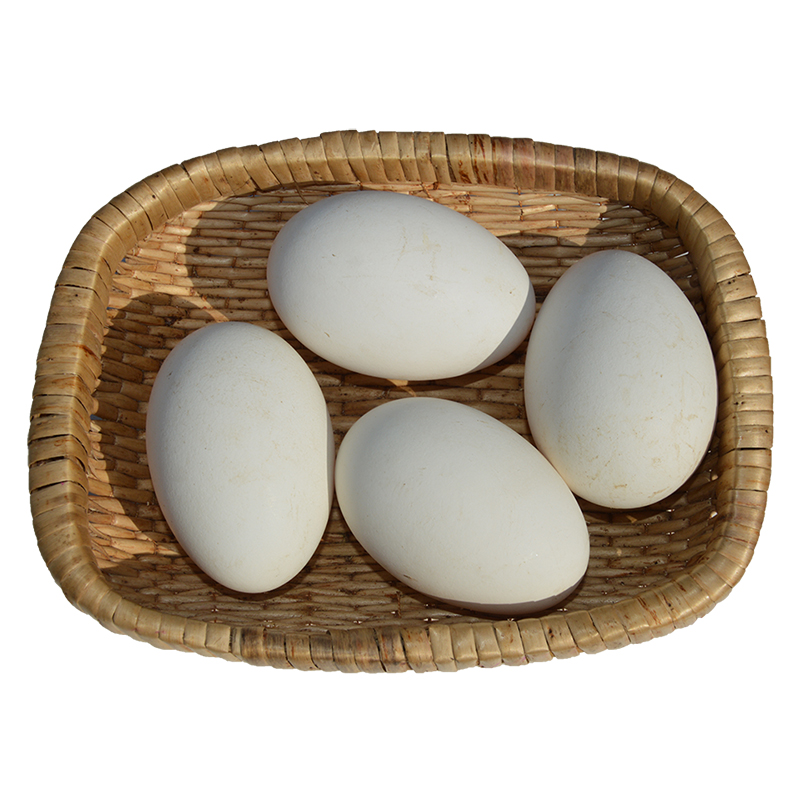 大三花鹅蛋种蛋受精蛋可孵化鹅苗受精种鹅蛋新鲜四季鹅三花五龙鹅 - 图3
