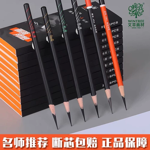 Wencai 98K Arcoal Art Student Testsing Испытание на эскиз Dream Series Servic Tool Srill Sourcore углеродные углеродные чернила Профессиональные угля Специальные мягкие карандаш мягкие и мягкие покраски материалы