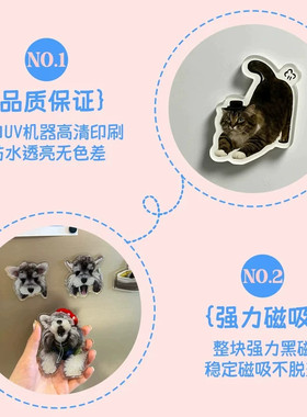 宠物冰箱贴定制免费设计diy