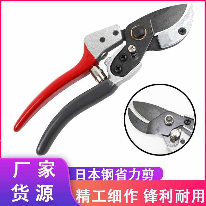 新款直销五金园林工具果枝剪子省力家用灰红柄沾塑园艺花枝剪果树,淘宝优惠券,粉丝福利购,淘宝优惠卷