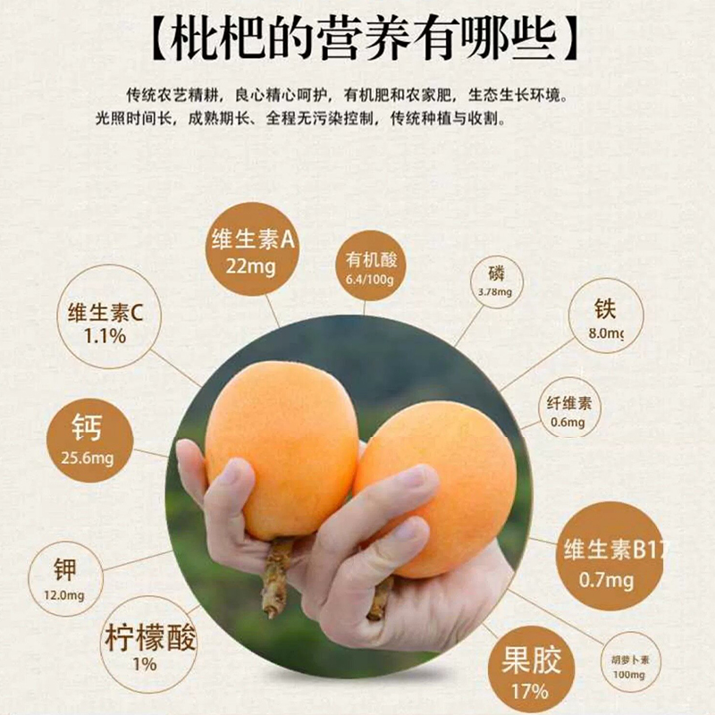 广东果脯凉果休闲儿童小吃无核贝竹盐果干枇杷干特产零食品川知