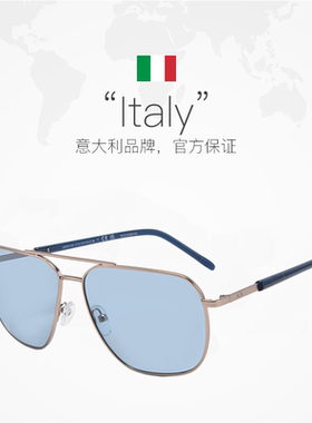 Armani/阿玛尼大框潮流太阳眼镜