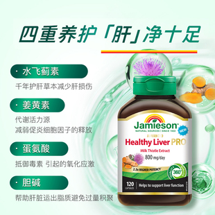 【自营】健美生高浓缩奶蓟姜黄护肝片 120片