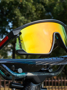 【自营】2025新款骑行眼镜防风潮流墨镜自行车跑步户外运动登山镜