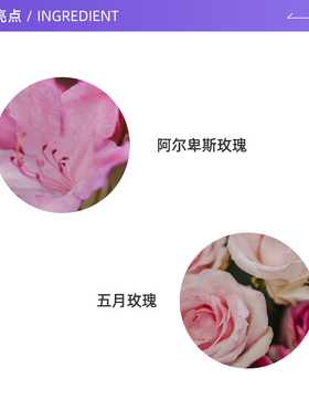 【自营】Sisley/希思黎黑玫瑰焕采精华面霜30ml补水保湿紧致抗老