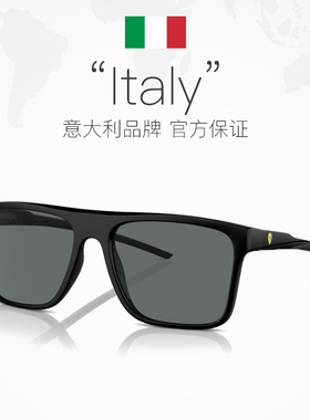 【自营】Ferrari/法拉利户外遮阳运动墨镜6006F偏光复古椭圆方形