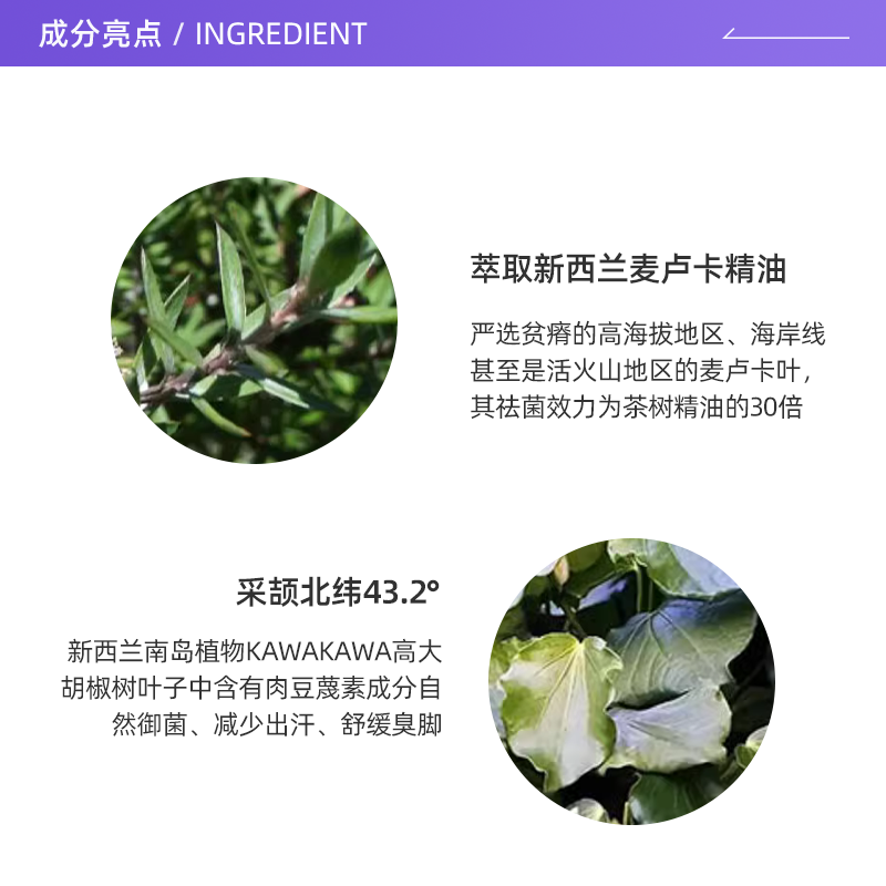 【自营】新西兰Grans Remedy老奶奶鞋袜去味喷雾120ml止汗除脚臭 - 图1