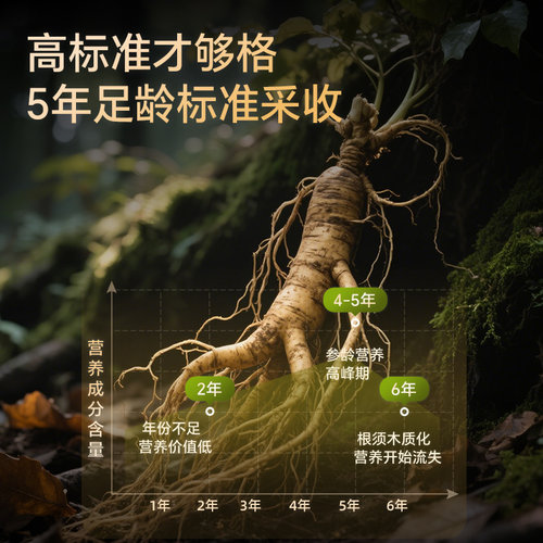 【自营】lecmor西洋参加拿大进口西洋参片粉官方正品整根切片泡水 - 图0