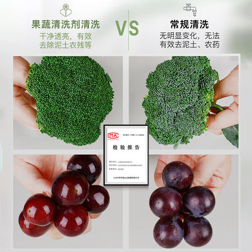 【自营】ECOVER欧维洁食品级洗洁精 A类果蔬净浓缩洗碗液净农残 - 图1