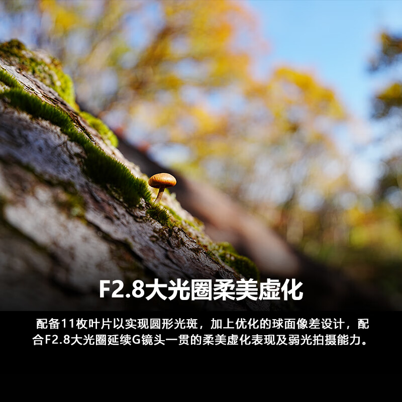 【自营】索尼FE16-25mmF2.8G全画幅广角微单镜头适用A7M3/4/5/7C2 - 图0