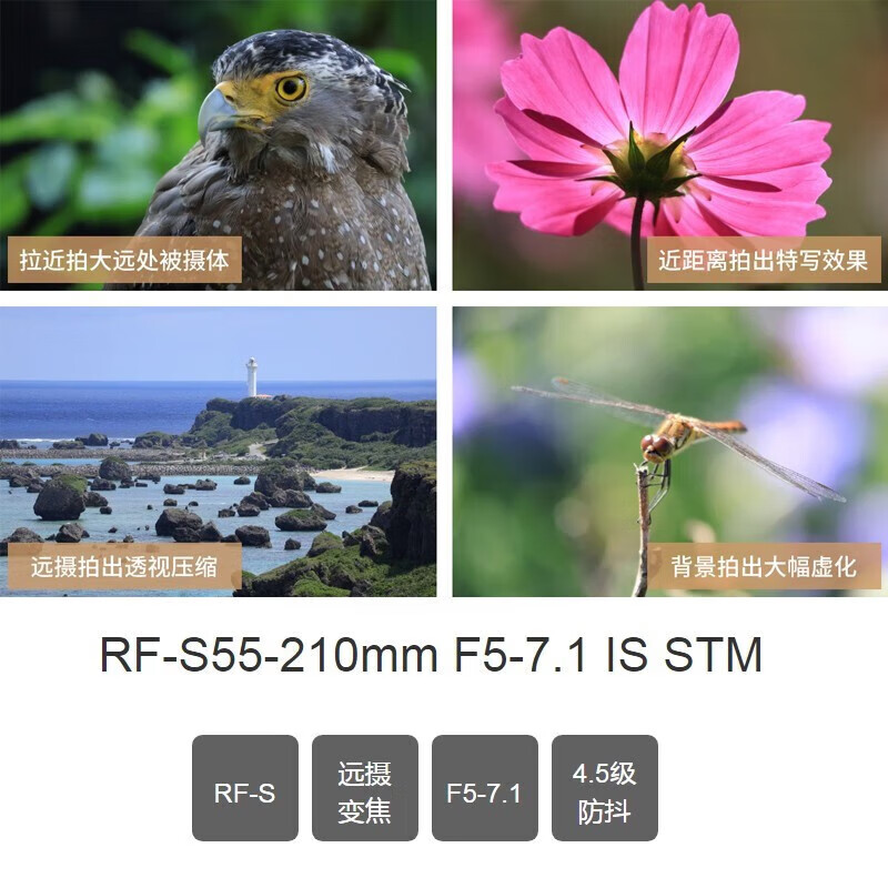 【自营】佳能RF-S55-210mm F5-7.1 IS STM半画幅微单远摄变焦镜头 - 图1