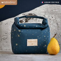 nododinoz insulated bag delivered with dinner bag for lunch bag snack with small daisy boxed with cinnamon France