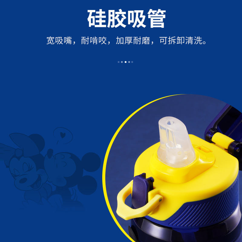 【自营】迪士尼儿童水杯专用带吸管水壶直饮草莓熊米奇汽车水瓶