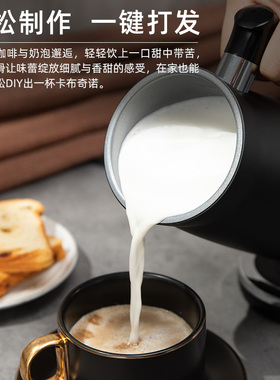 德国Derlla电动打奶泡机
