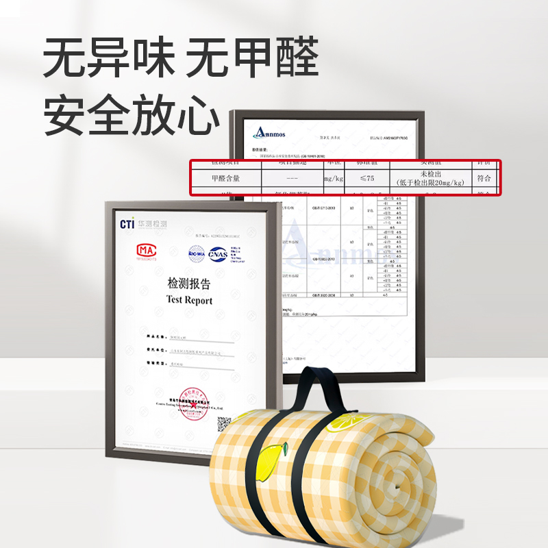 加厚野餐垫防潮垫超声波垫子户外露营垫帐篷内垫专用露营地垫子 - 图2