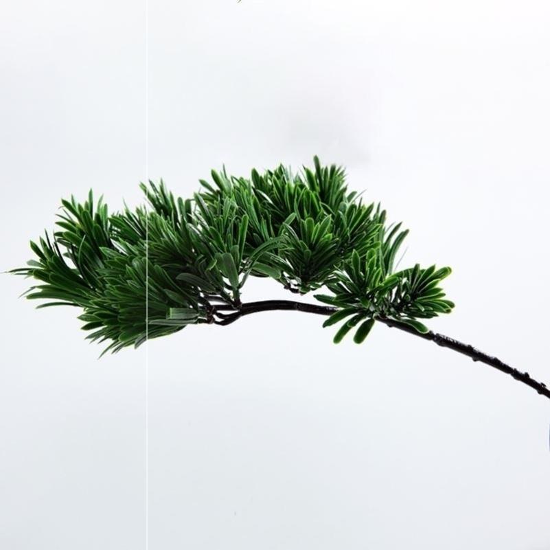 松柏枝图片,松柏树图片大全,松柏的图片(第10页)_大山谷图库