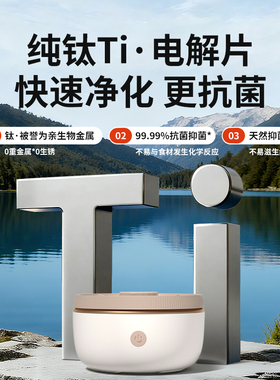 得力果蔬清洗机洗水果蔬菜消毒器