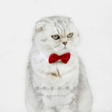 Галстук-бабочка с бантиком, чокер, шарф, красный праздничнный аксессуар