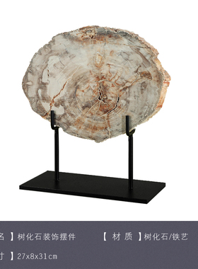 现代新中式风天然样板书房树化石