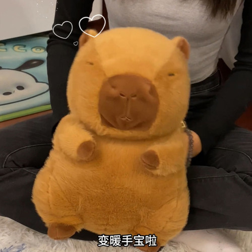 卡皮巴拉暖宝宝水豚冬季插手热水袋暖手宝毛绒玩偶充电款暖水袋 - 图1
