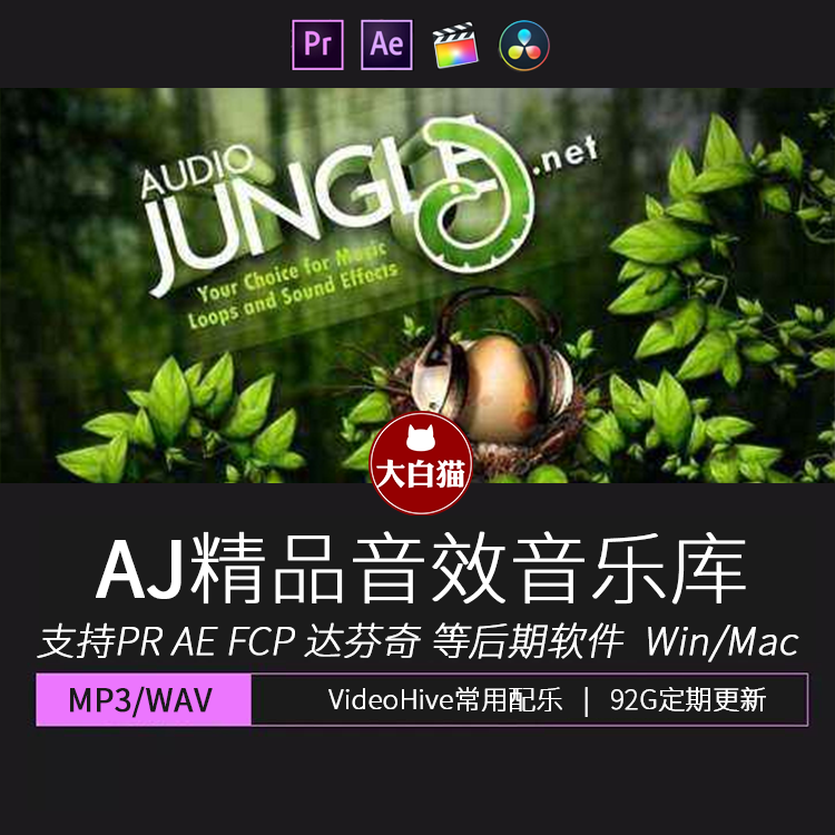 Audio jungle音乐素材库AE模板背景卡点音效宣传片PR影视后期配乐 - 图0