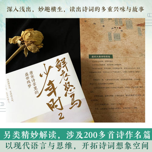 鲜衣怒马少年时2【随书精美折页】少年怒马著 唐宋诗章里的盛世残梦 揭示开元盛世繁华危机唐文学中国古诗词 唐诗宋词鉴赏正版书籍 - 图2