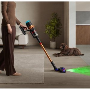 韩国直邮Dyson戴森智能多功能吸尘器清洁器DS60 495992-01