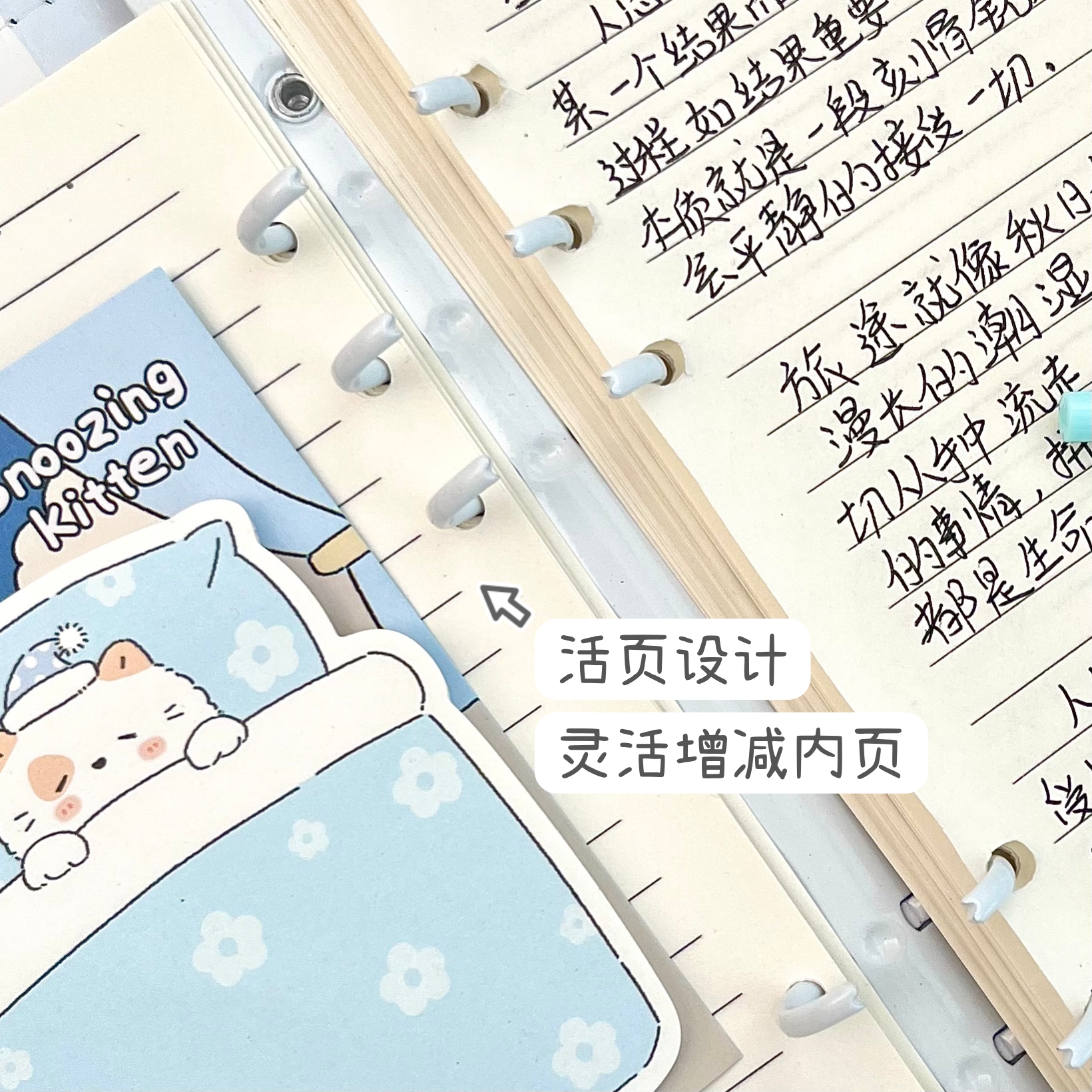 苹果小猫A5活页本pu皮面笔记本高颜值可拆卸内页手账本卡通日记本 - 图3