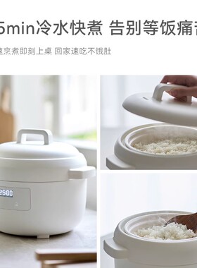 OLAYKS2.8L柴火饭2-4陶瓷釉内胆