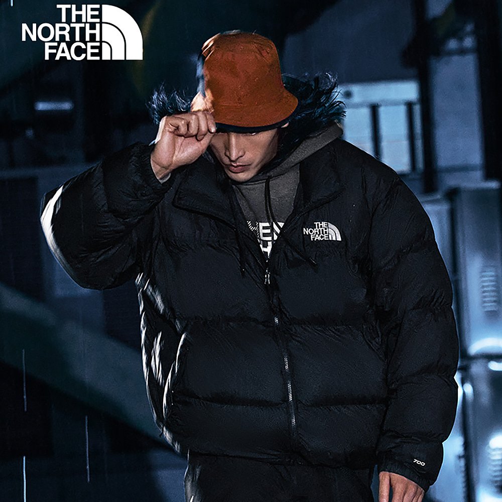 日本直邮TheNorthFace北面1996Nuptse羽绒服情侣款经典ICON - 图3