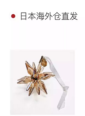 日本直邮Swarovski 施华洛世奇25年新款3D圣诞星雪花挂件5701505