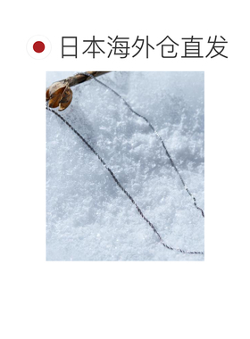 日本直邮tk.TAKEO KIKUCHI男士不锈钢简约细身组合项链 979058002