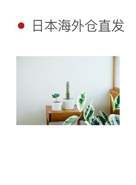【日本直邮】KINTO 花盆 191 土灰色 85x80mm 29191