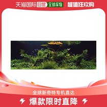 (Japan Direct Mail) 950 Pieces Puzzle Natural Aquarium Floating Leaves Water View 950-05