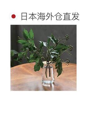 【日本直邮】利快KINTO 水培玻璃花瓶 底座80x70mm 棕色 20332